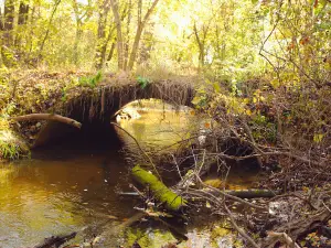 Skalbekken County Park