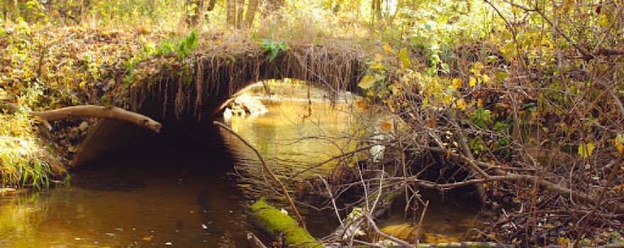 Skalbekken County Park