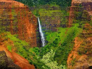 Waimea Canyon Lookout