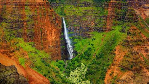 Waimea Canyon Lookout