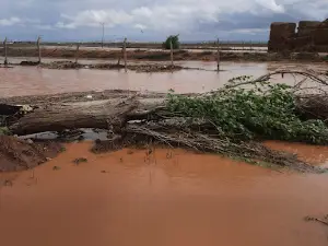 Selgelen Creek