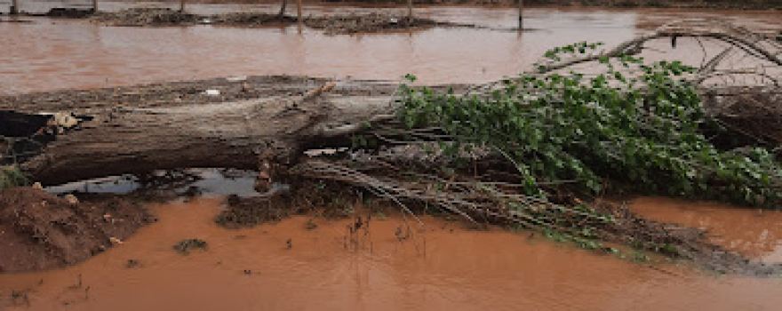 Selgelen Creek