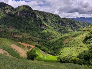 Xuan Nha Nature Reserve