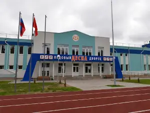 Stadium "Forest Glade"