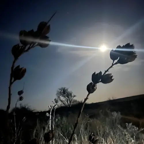 High Plains Hunts