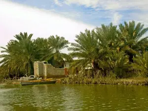 Shadegan Ponds
