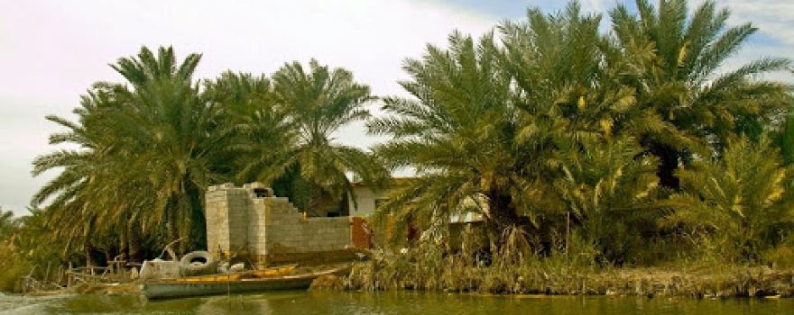 Shadegan Ponds