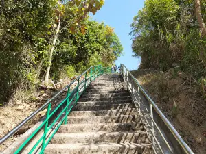 Aviary and Eco Park