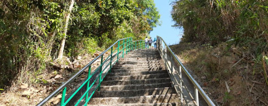Aviary and Eco Park