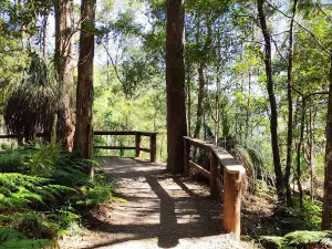 Kondalilla National Park