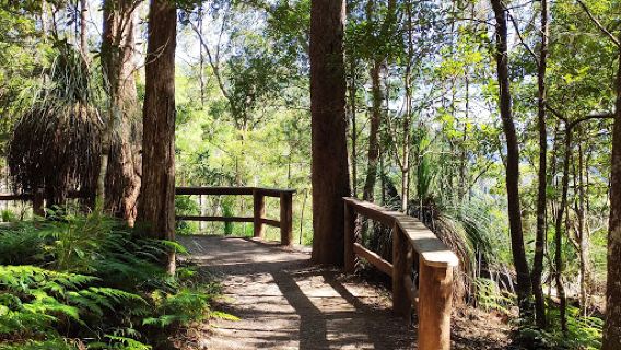 Kondalilla National Park