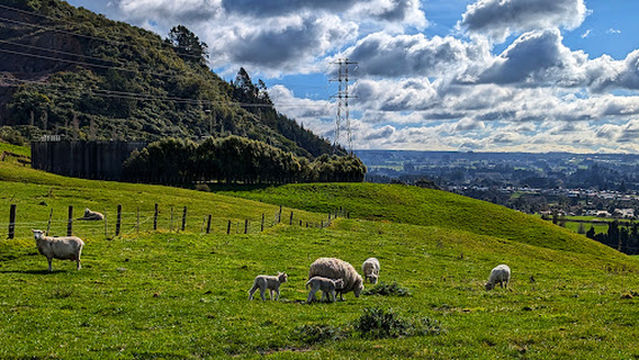 Adventure Playground