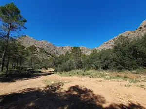 Àrea Recreativa de la Franqueta