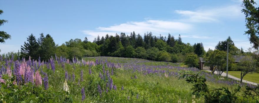 Clark Gregory Nature Preserve