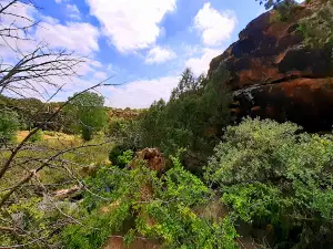 Carrizo Canyon Picnic Area