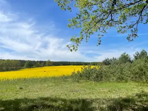 Ośrodek Sportu i Rekreacji - Stare Kaleńsko