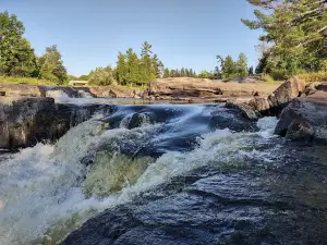 Pine Island State Forest