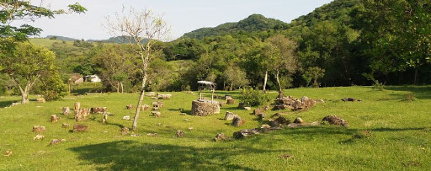 Museu Paleobotânico