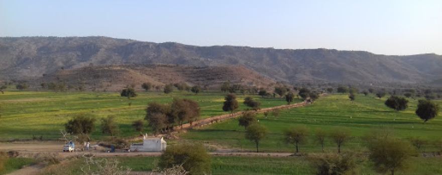 Masjid-e-Ali, mohallah khadar khel, Seni gumbat.