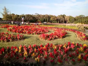 Lan PI Phu FOI Lom Park