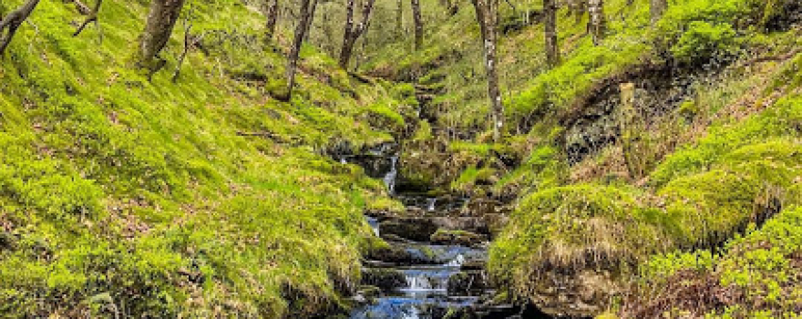 Nant-melin