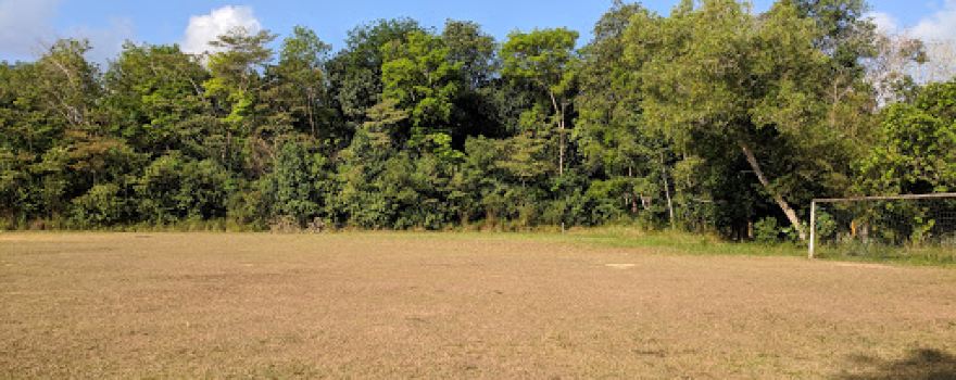 Lapangan Bola Pokal