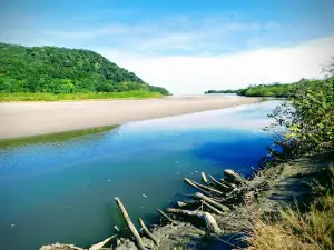 Parque Estadual Restinga de Bertioga