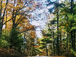 척 스완 주립산림공원