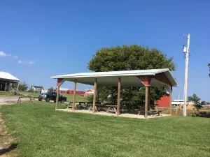 Shade Tree Orchard