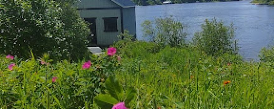 Quai Municipal Lac-Édouard
