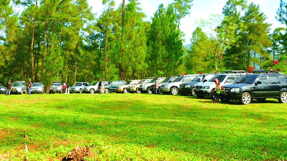 Hutan Pinus Loji blitar