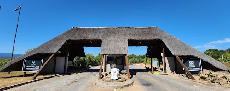 Addo Elephant Main Camp