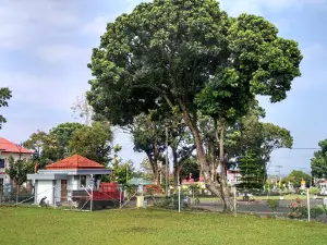 Deer Park Curup