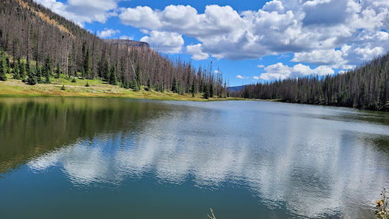 San Juan Side-by-Sides UTV Rentals