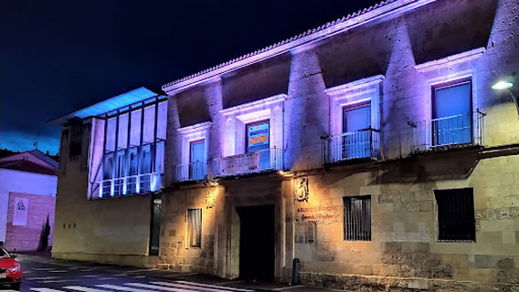 Municipal Public Library Gerardo Moraleja