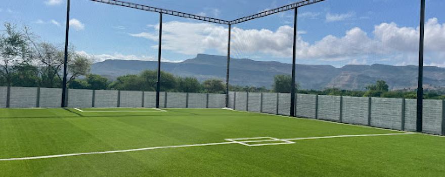 The sports way turf