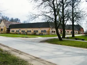 Jaunpils Sporta Klubs