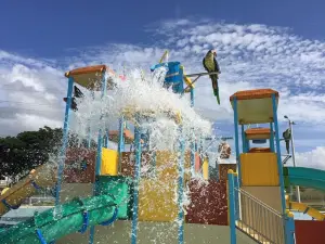 Arroyo Surfing Park