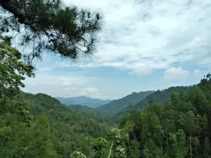 Wisata Pinus Kita Gemaharjo