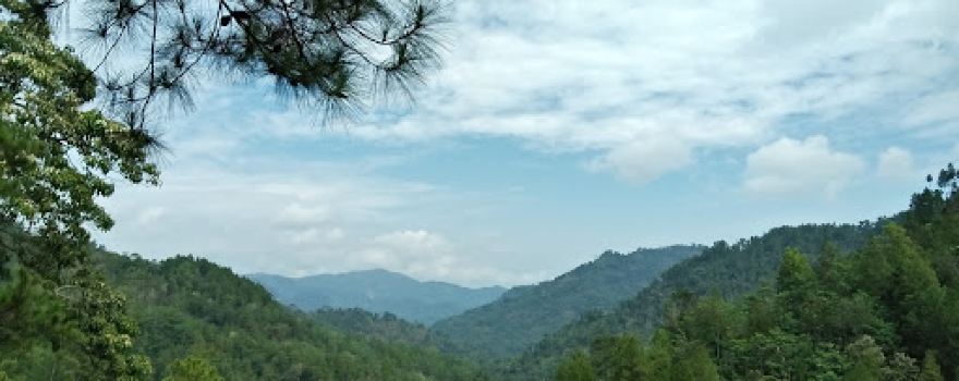 Wisata Pinus Kita Gemaharjo