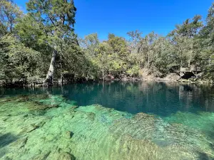 Royal Springs Suwannee River Wilderness Trail
