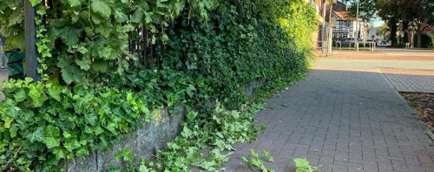 Toprak Gartenpflege, Garten,Haus&mehr