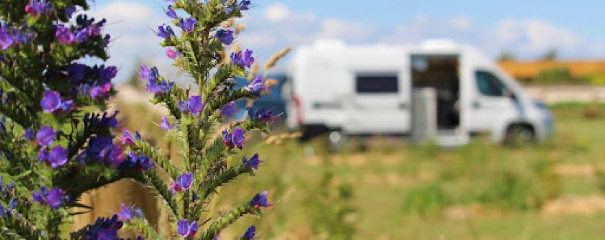 BIO CAMP - Camping Car Park