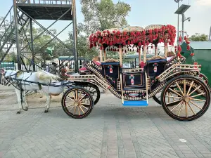 Iqbal Park