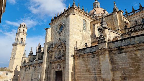 Cathedral of Jerez de la Frontera / Colegiata de Nuestro Señor San Salvador