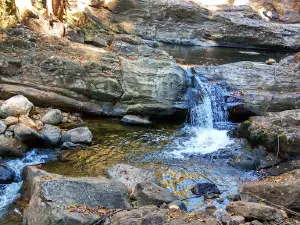 Mankayam Waterfalls