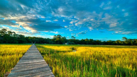 Outside Hilton Head