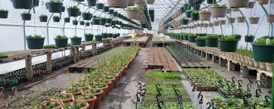 Northern Flowers Garden Center/ Plant Man