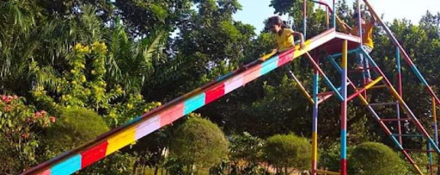 Dream world park & picnic spot