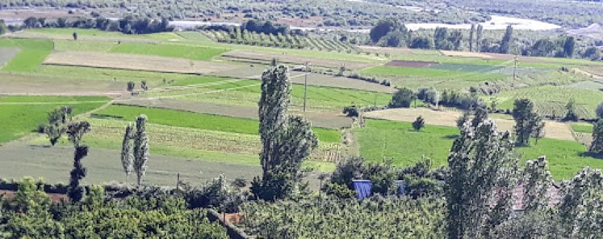 Xhamia Ushtelencë
